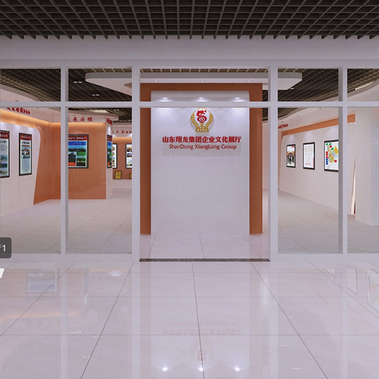 翔龍集團(tuán)黨建展廳